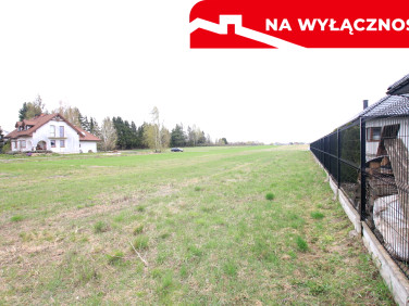 Działka Lisów