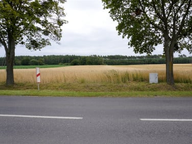 Działka usługowa Bolechowo