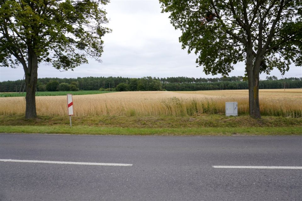 Działka usługowa Bolechowo