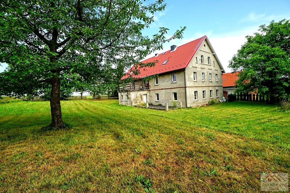 Zdjęcie 2