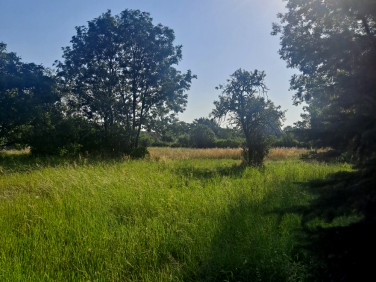 Działka budowlana Ozorowice