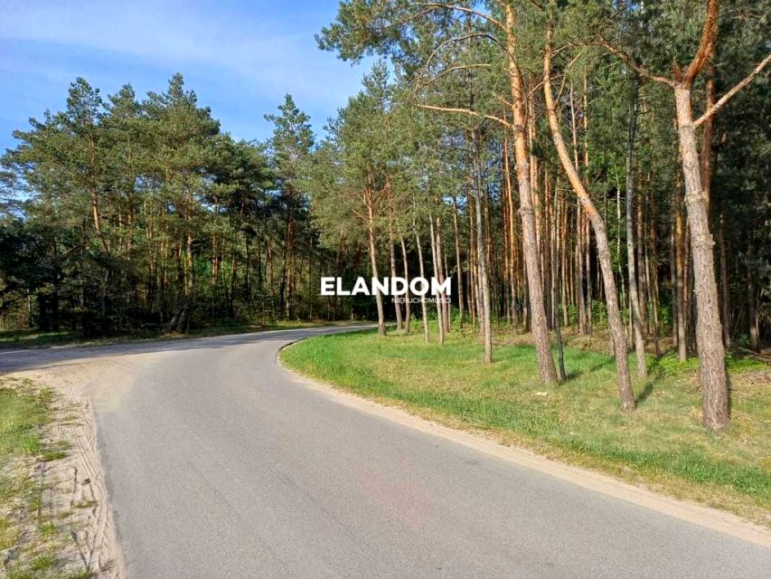Zdjęcie 3