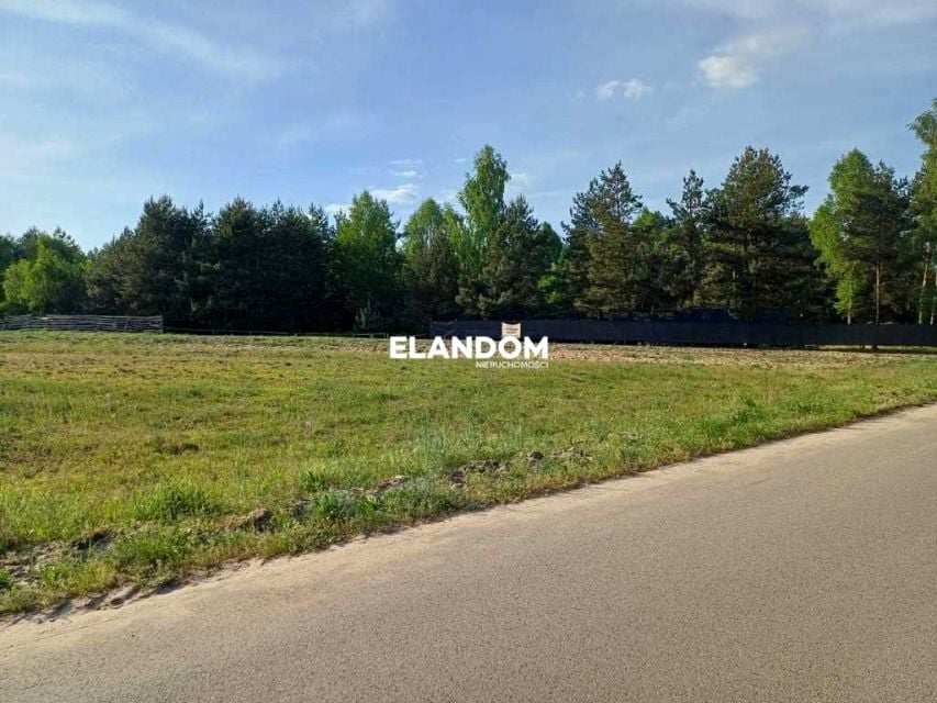 Zdjęcie 2