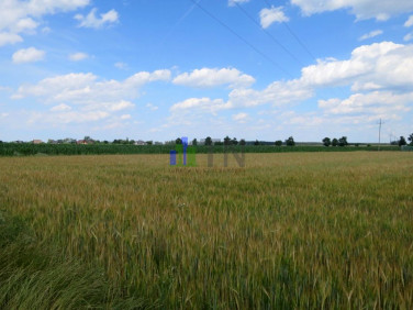 Działka przemysłowa sprzedam