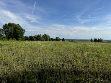 Działka rolno-budowlana przy lesie Wołowice