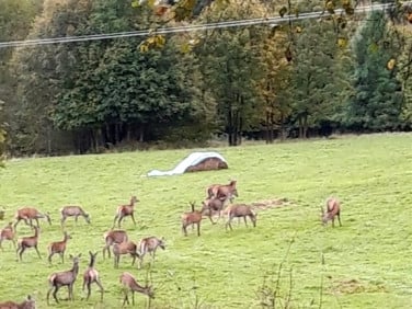 Działka budowlano-rolna Zawoja sprzedam