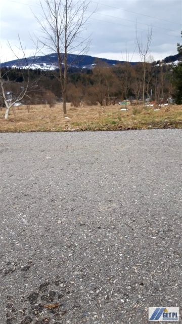 Zdjęcie 3