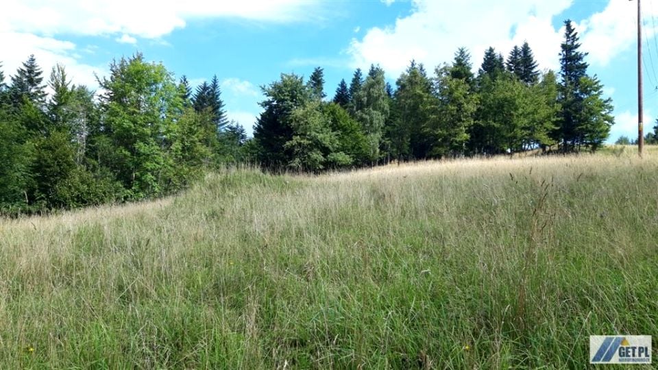 Zdjęcie 2