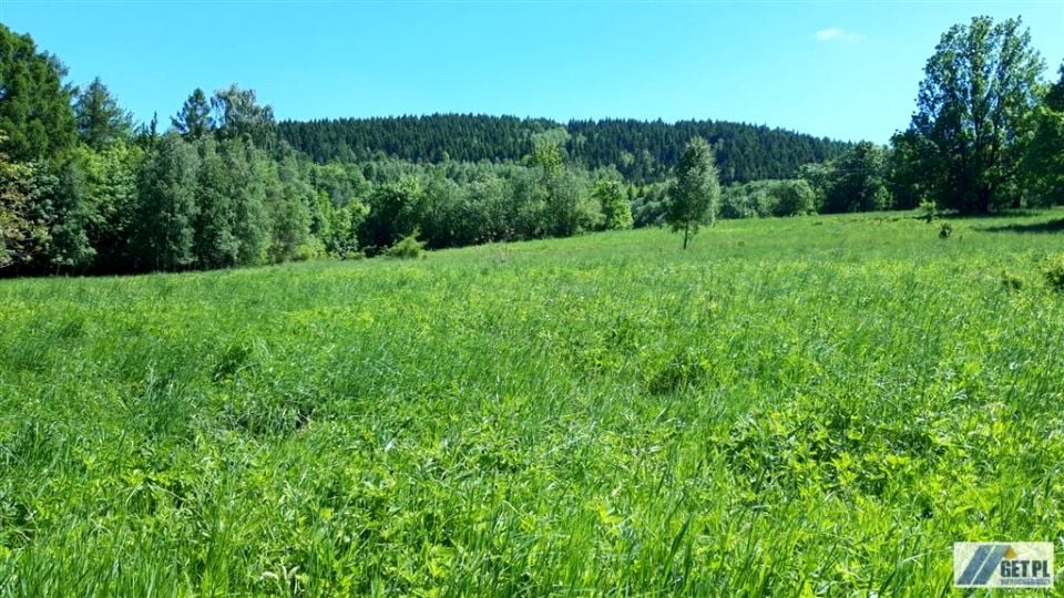 Zdjęcie 2