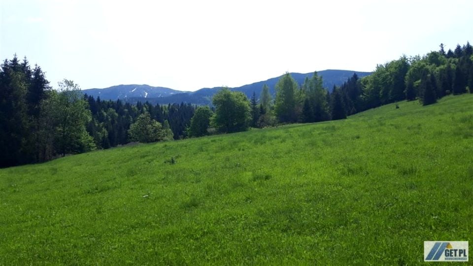 Zdjęcie 2