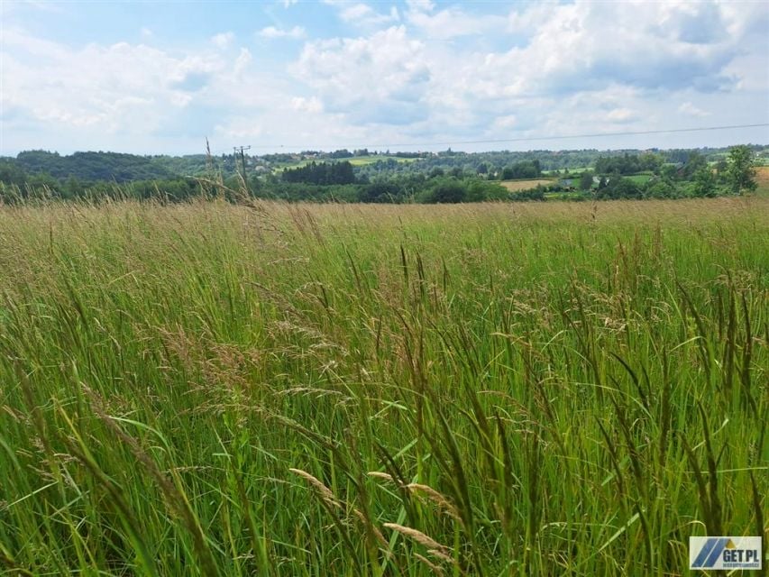 Działka inwestycyjna Wielka Wieś sprzedam