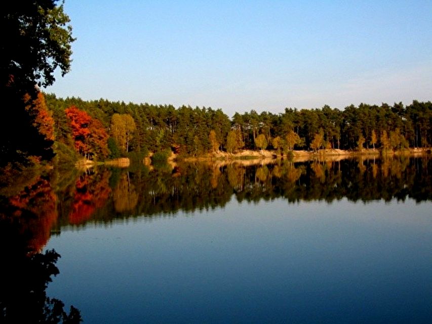 Działka inna Marszałki