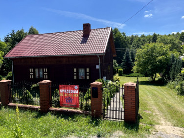 Dom wolnostojący sprzedaż