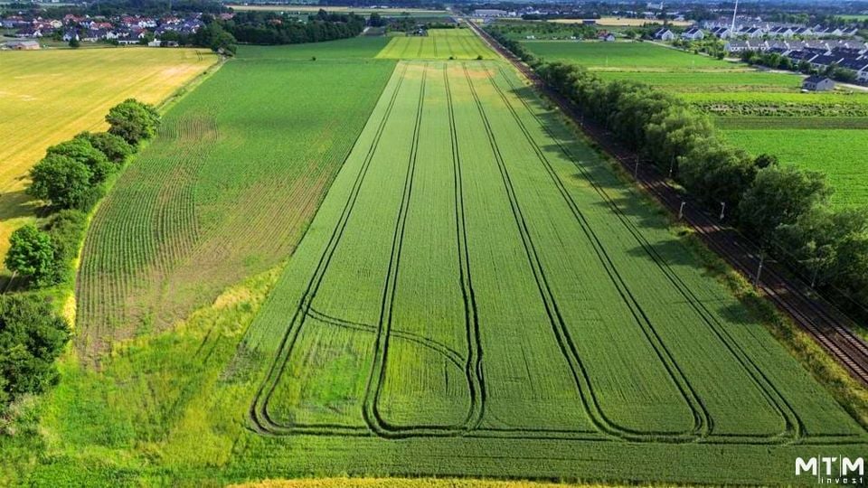 Działka rolna Iwiny