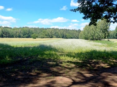 Działka rolna Brzeźce sprzedam