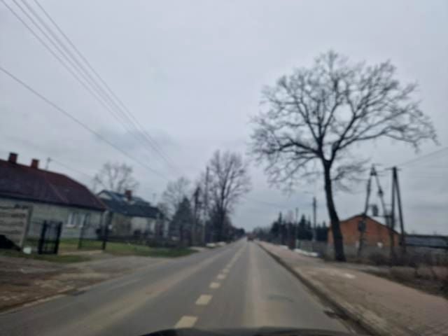 Zdjęcie 3