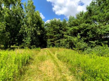 Działka Wojcieszyn