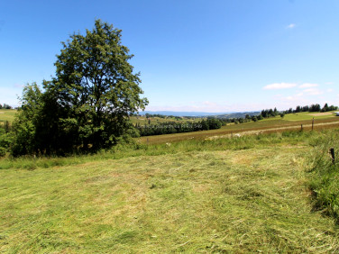 Działka Bustryk