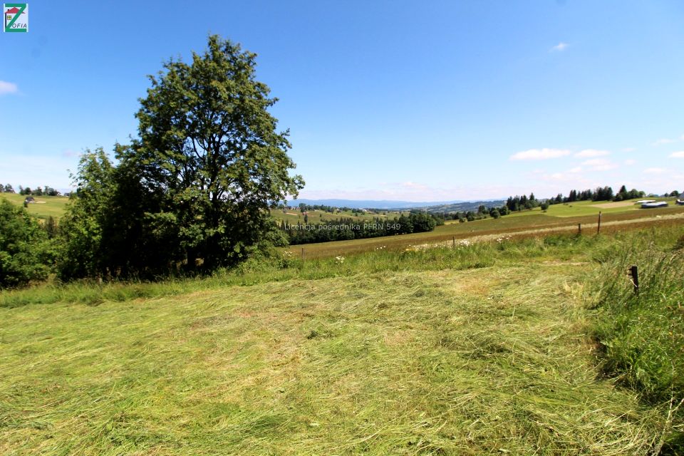 Działka Bustryk