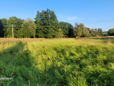 Ogrodzona działka Sierakowo