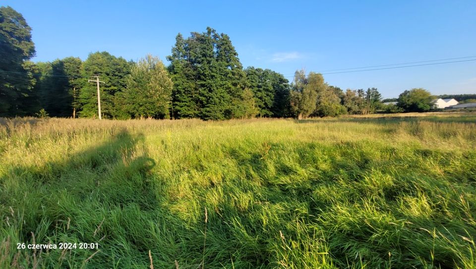 Ogrodzona działka Sierakowo