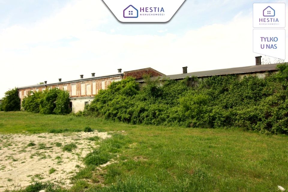 Budynek użytkowy Kurcewo sprzedaż