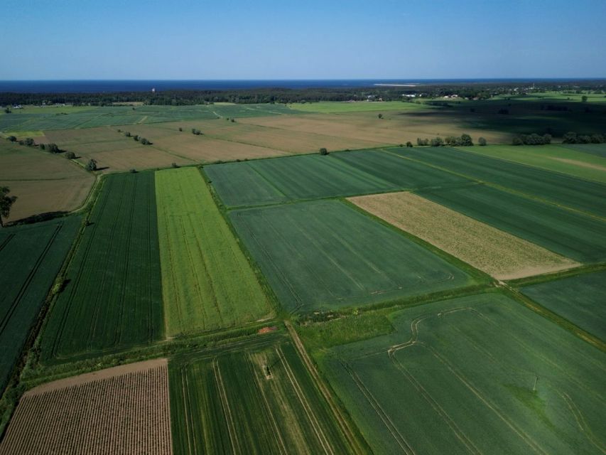 Działka siedliskowa Gdańsk