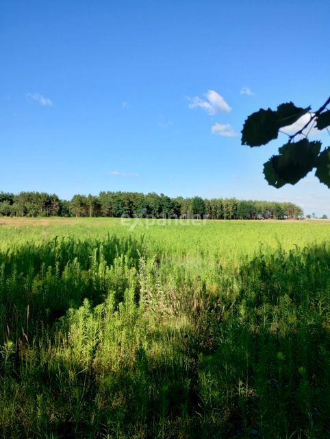 Działka Blinno