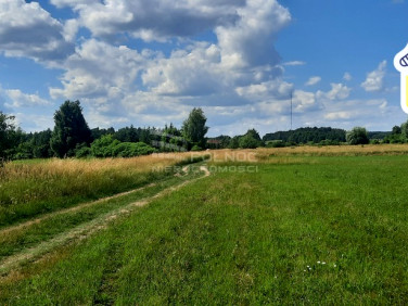 Działka rolna Dobrzyniewo Kościelne