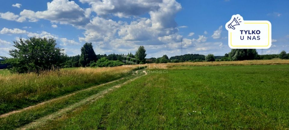 Działka rolna Dobrzyniewo Kościelne