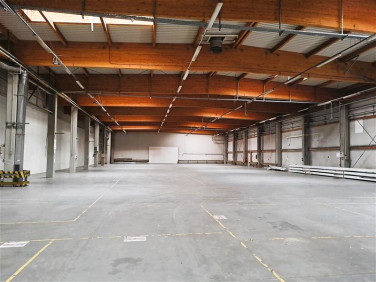 Budynek użytkowy Gdynia wynajem