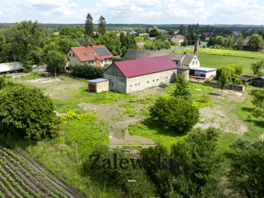 Budynek użytkowy Witnica