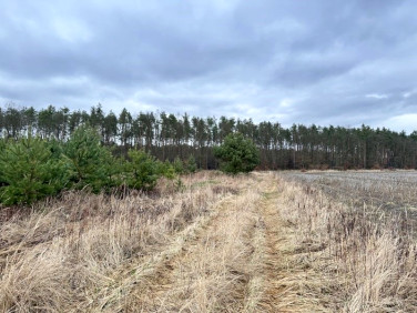 Działka budowlana Bystrzyca