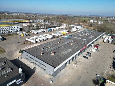 Lokal Błonie