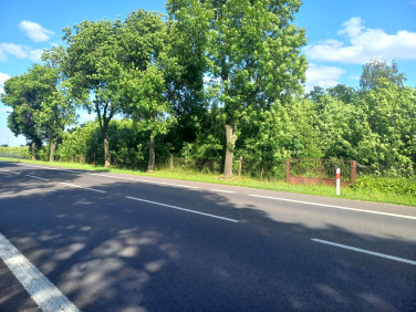 Działka przemysłowa Głowno