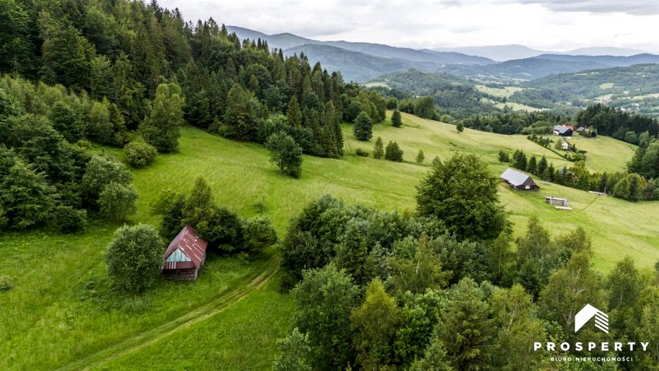 Działka Krzyżówki