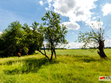 Działka budowlana Włodzice Wielkie