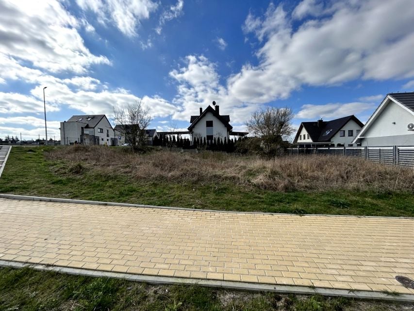 Zdjęcie 3