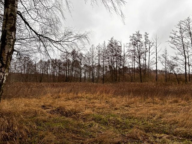 Działka budowlana Rozgarty sprzedam