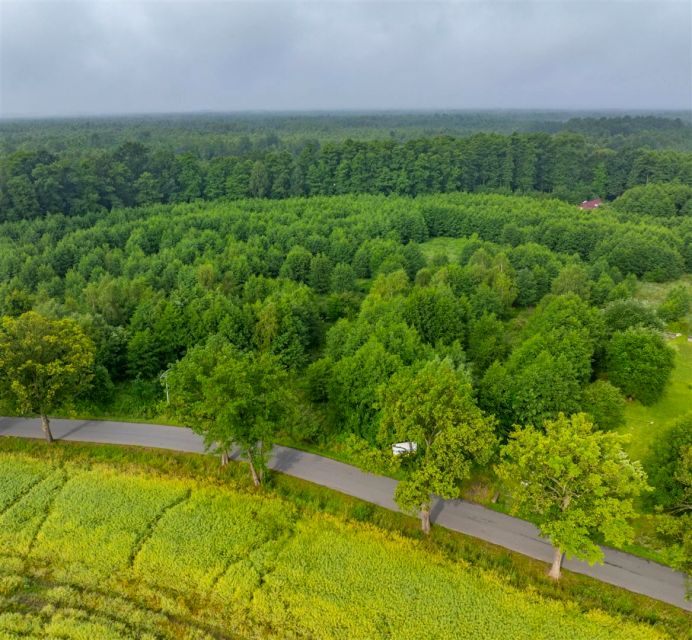 Działka usługowa Rudziniec