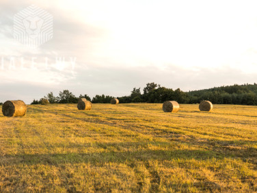 Działka rolna Głosków