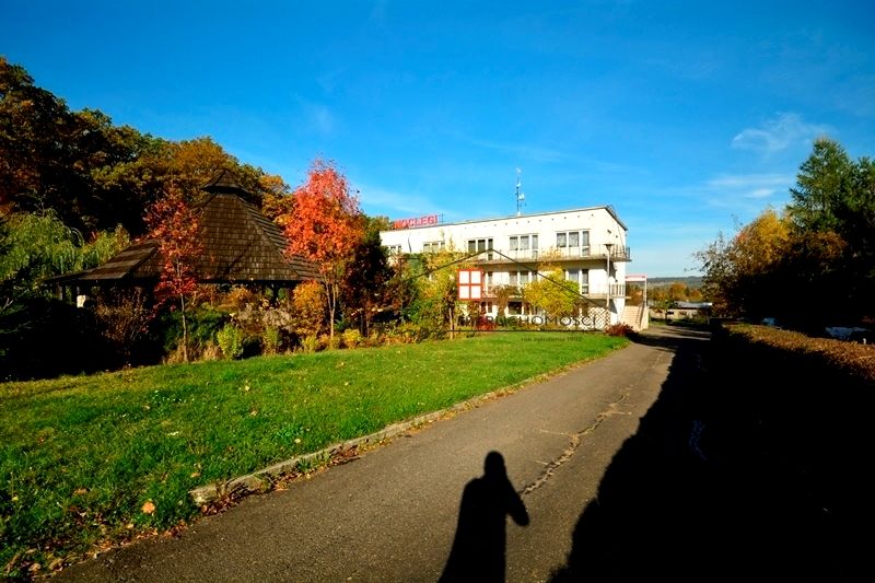 Budynek użytkowy Dybawka sprzedaż