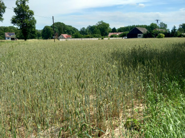 Działka budowlana Mokrawica