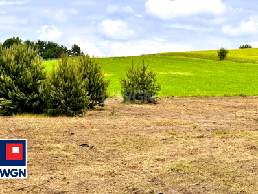 Działka Zaborze