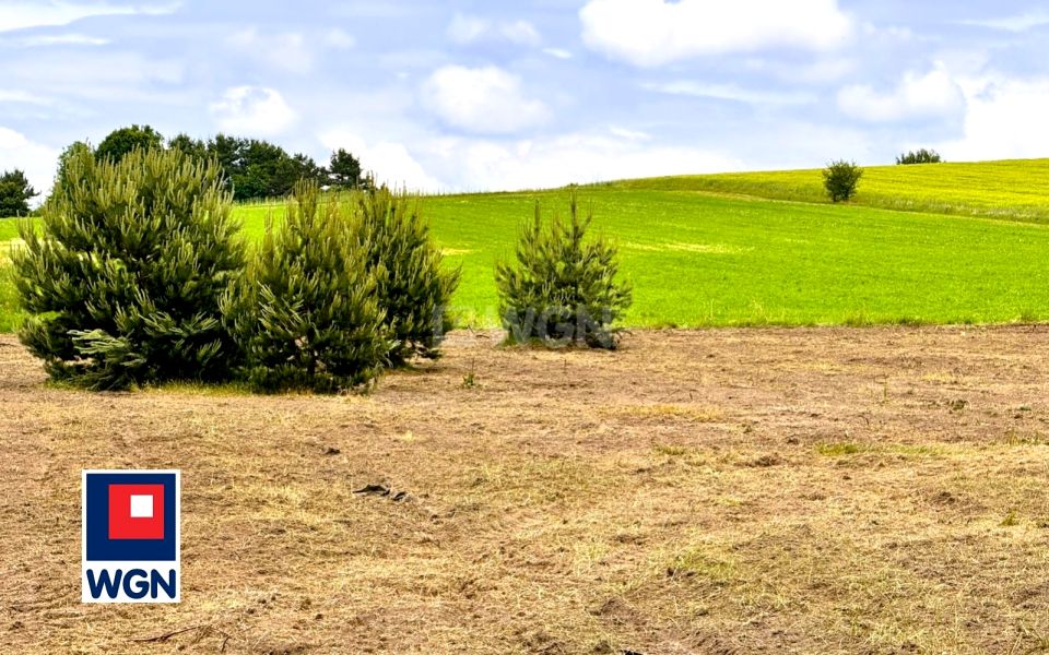 Działka Zaborze