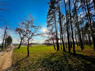 Działka budowlana Górsk