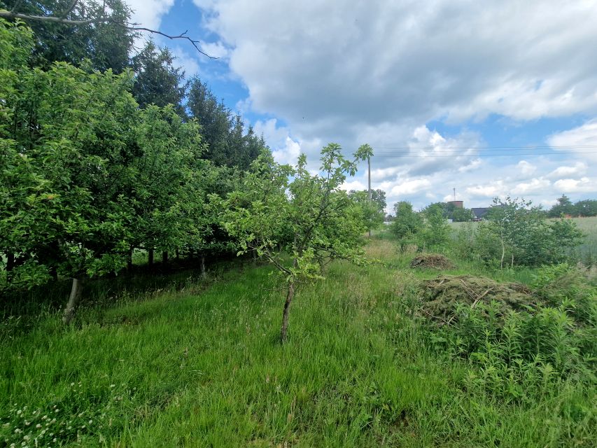 Działka Nowogrodziec