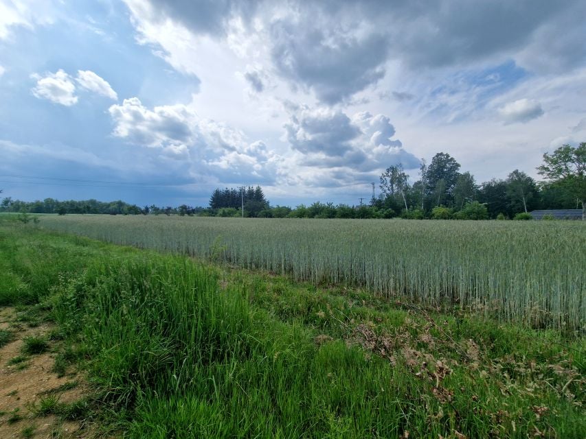 Działka budowlana Nowogrodziec