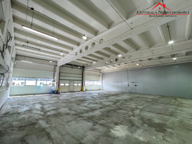 Budynek użytkowy Toruń wynajem