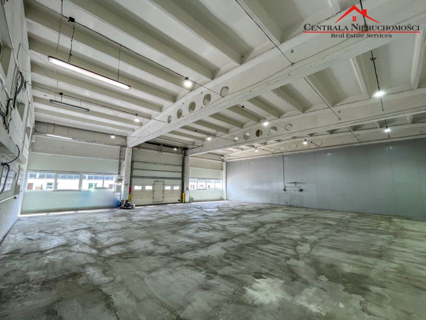 Budynek użytkowy Toruń wynajem